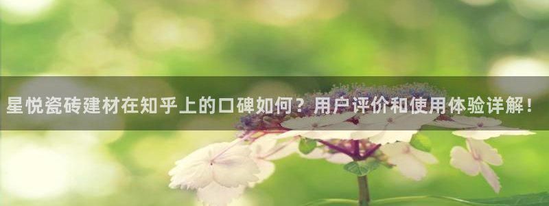 杏鑫平台代理怎么样赚钱
