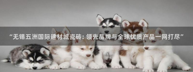 杏鑫官网最新信息新闻