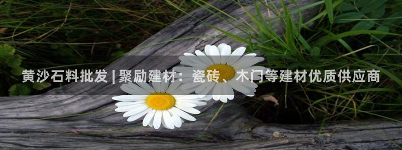 杏鑫平台正规吗可信吗