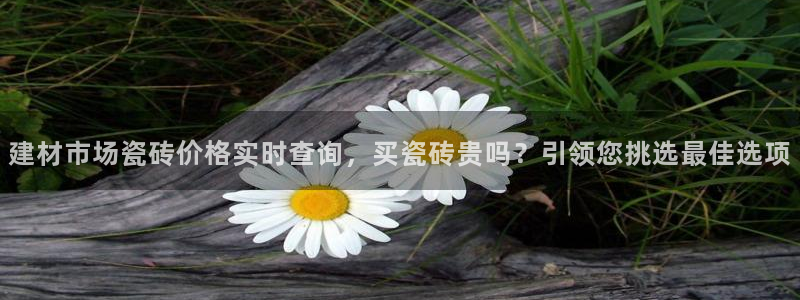 杏鑫官方平台怎么样啊可靠吗