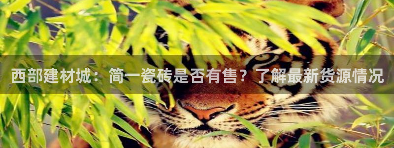 杏鑫娱乐测速