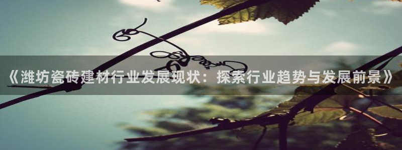 杏鑫手机客户端