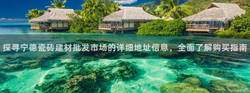 杏鑫官网最新信息新闻报道