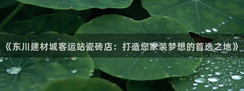 杏鑫平台代理怎么样