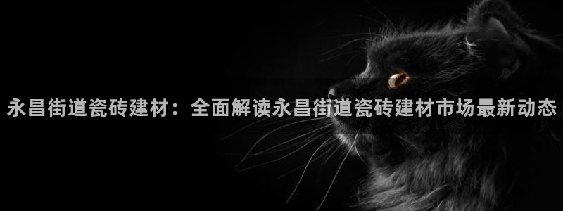 杏鑫招商总代