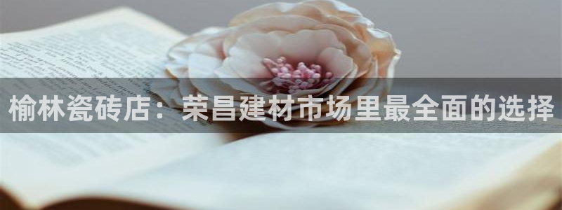 杏鑫平台招商怎么样