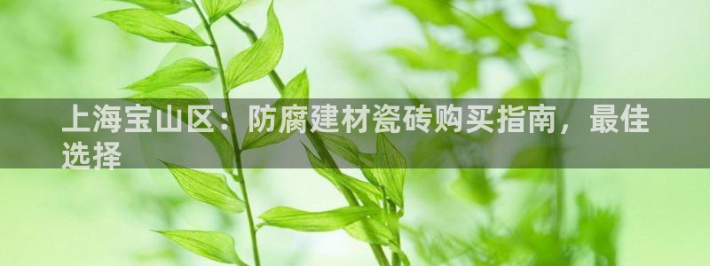 杏鑫平台招商电话是多少