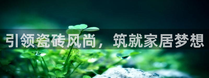 杏鑫娱乐负责人