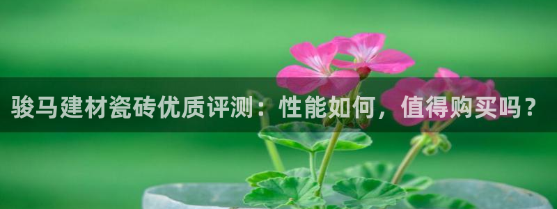 杏鑫平台招商怎么样