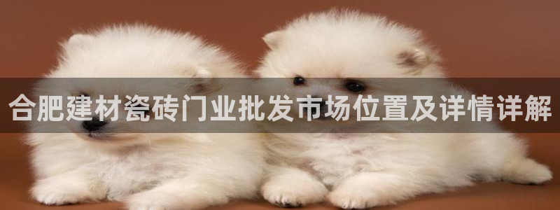 杏鑫平台代理怎么做赚钱