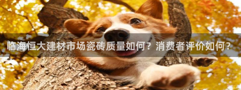 杏鑫平台官方网站