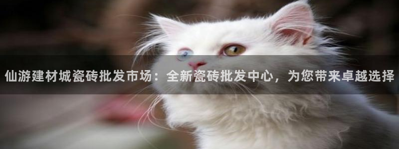 杏鑫娱乐官方网站客户端下载安装