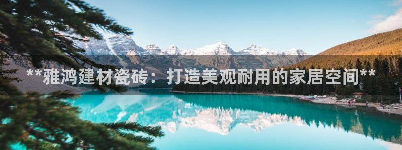 杏鑫手机客户端