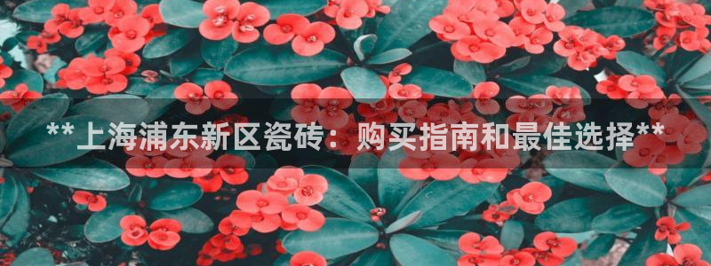 杏鑫平台正规吗是真的吗