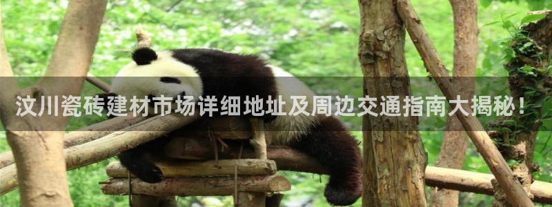 杏鑫娱乐官方网站客户端下载